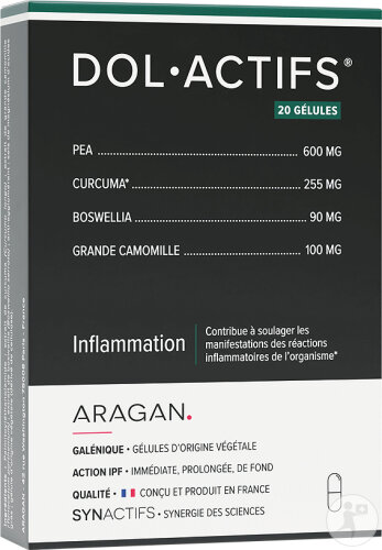 Aragan Synactifs Dolactifs Inflammation Curcuma 20 Gélules
