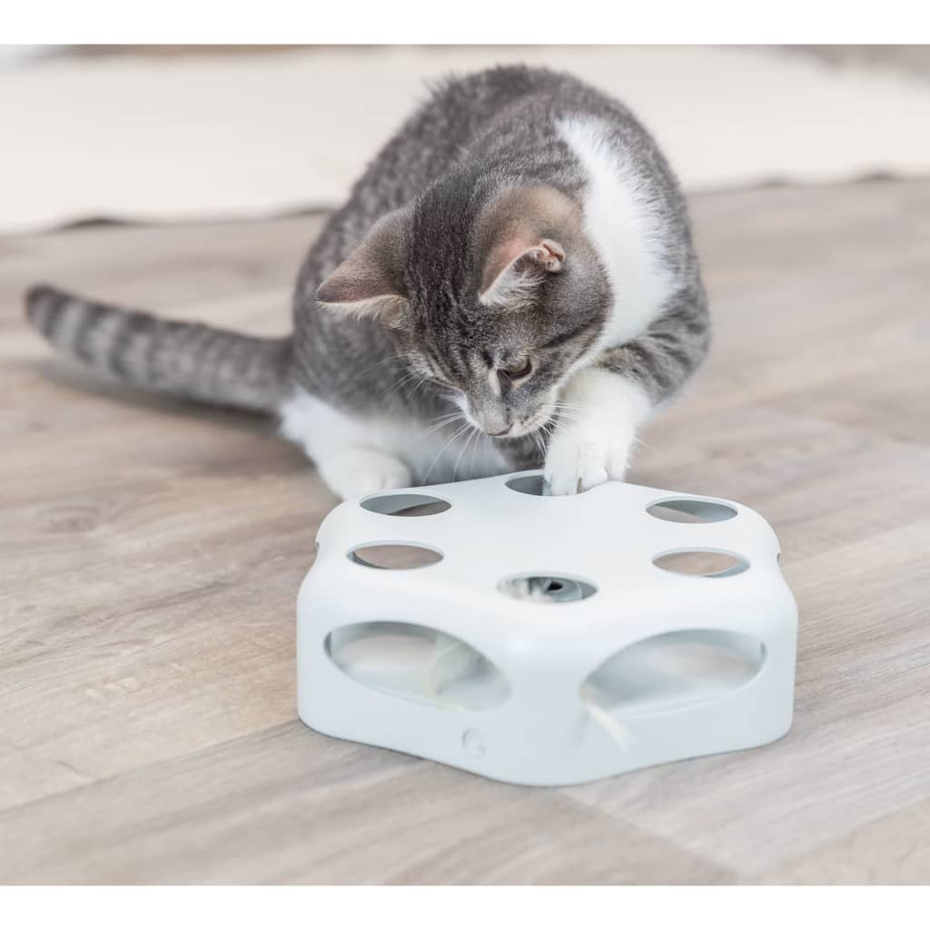 Brinquedo para Gatos