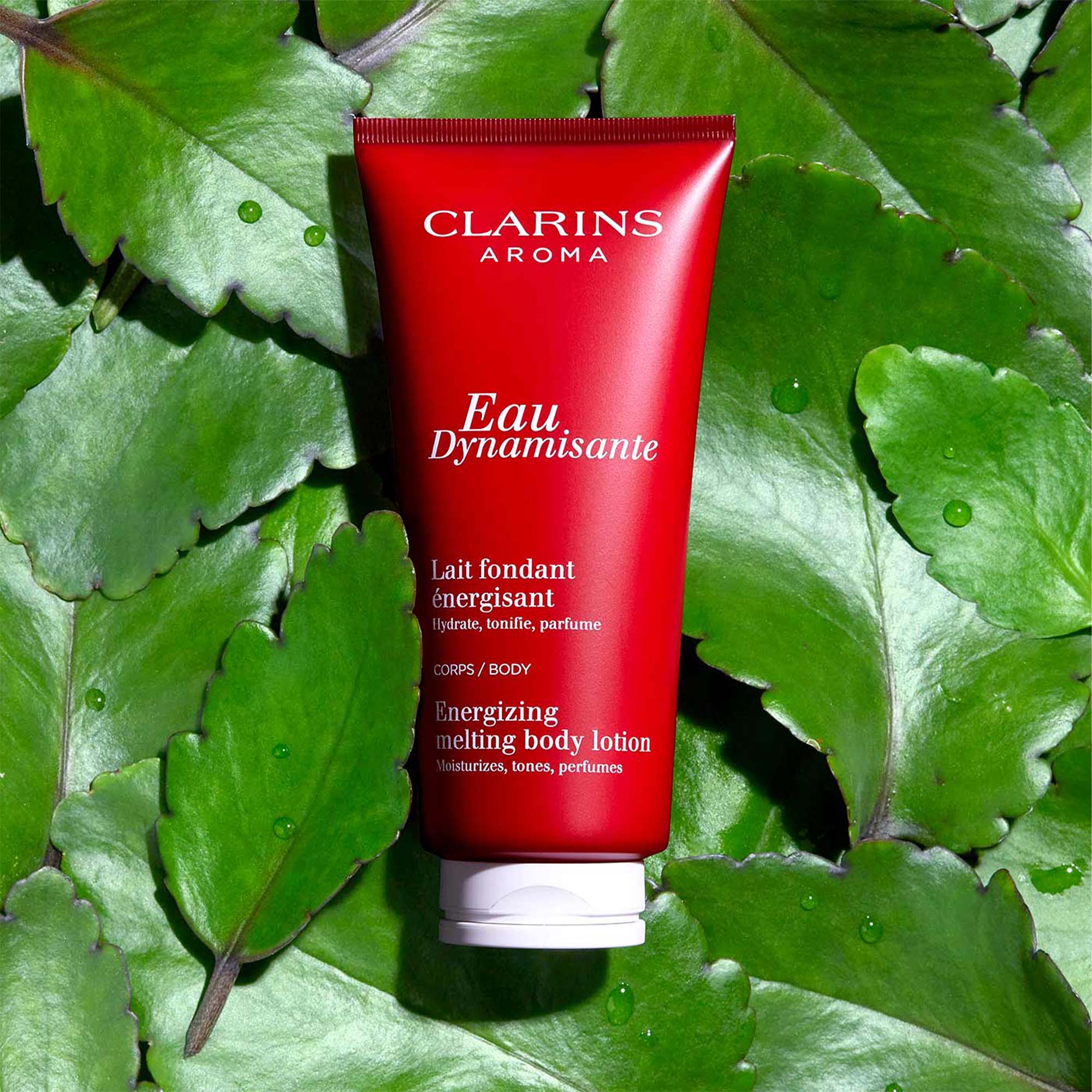Eau Dynamisante - Lait Fondant Energisant |