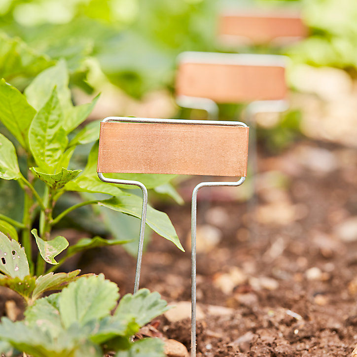 Etiquettes à planter cuivre sur base métal Verve (lot de 5)