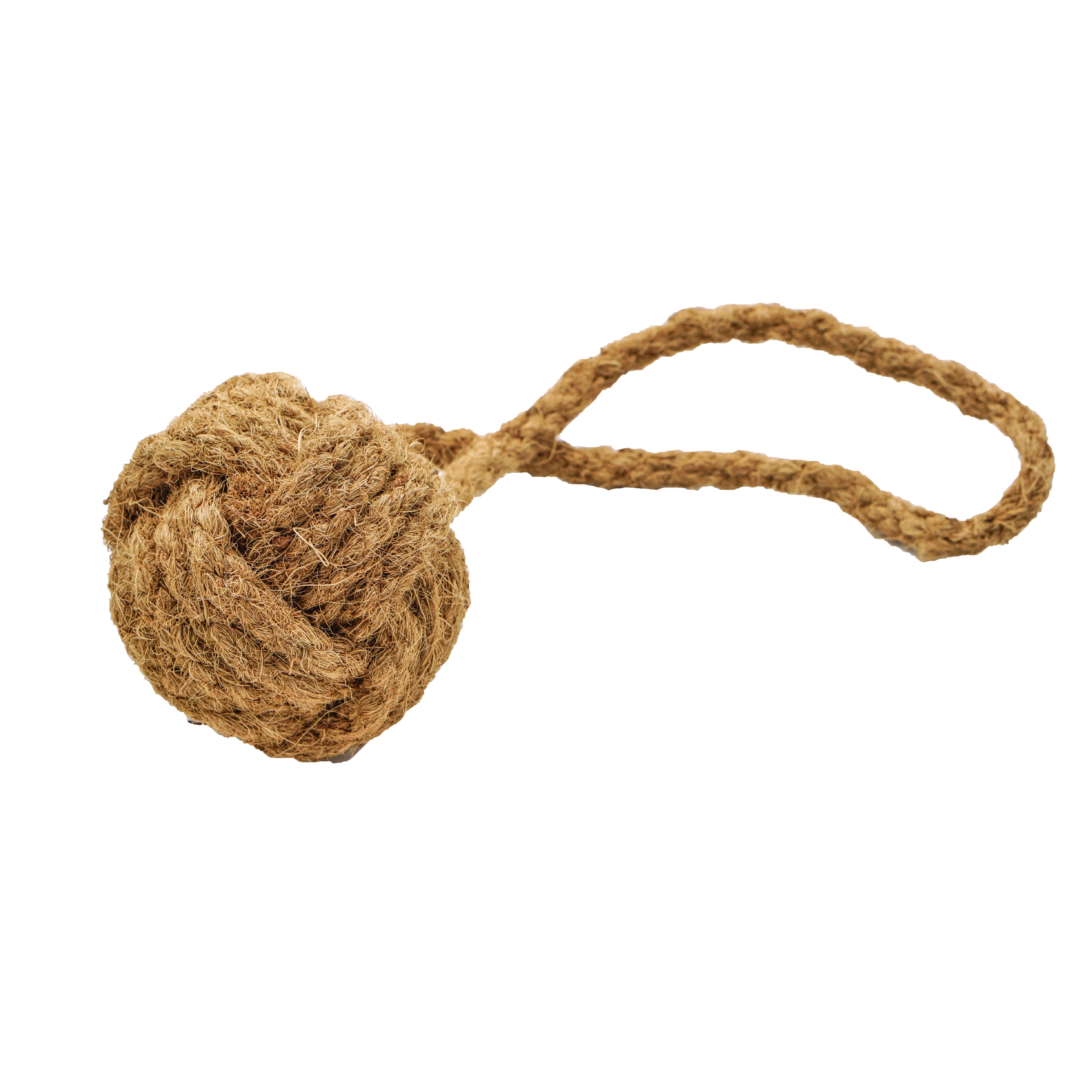 mascota casa - Coco Ball