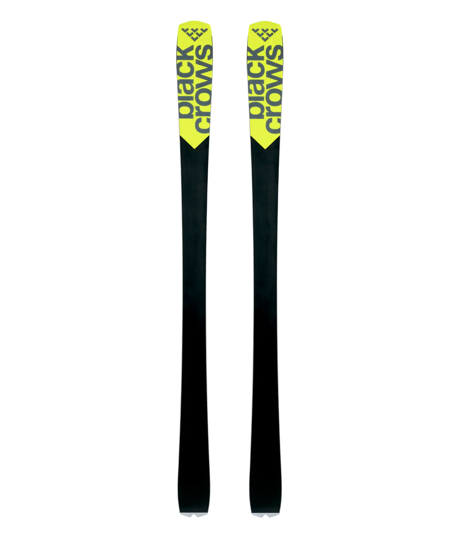 Black Crows Octo All Mountain Ski | SkatePro