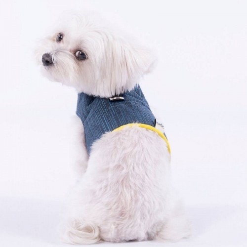 Arnês para cães Groc Groc Yuki azul