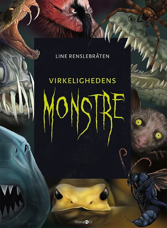 Virkelighedens Monstre + Monsterkort - Line Renslebråten - Bog