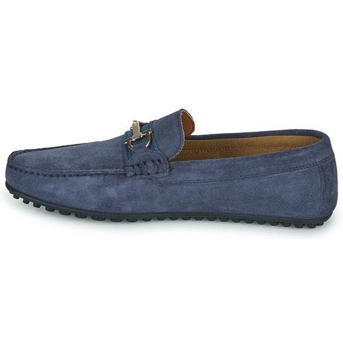 Aldo - SCUDERIA - Marine