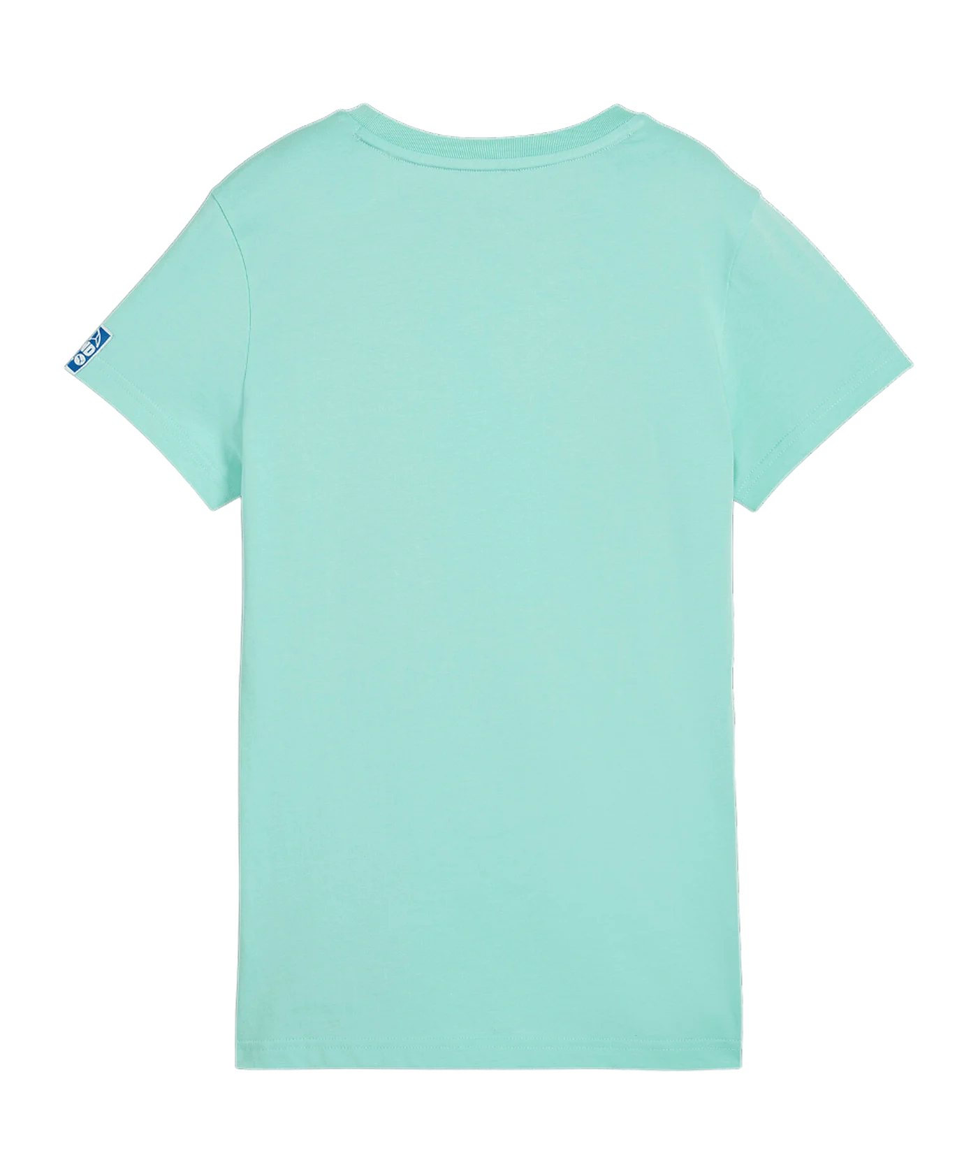 PUMA Handball T-Shirt Damen Grün F08