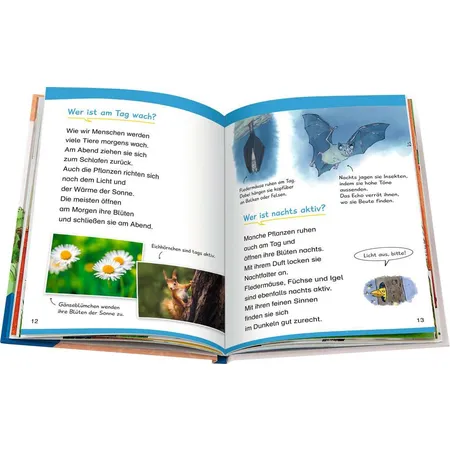 Ravensburger Wieso? Weshalb? Warum? Erstleser, Band 10:In der Natur