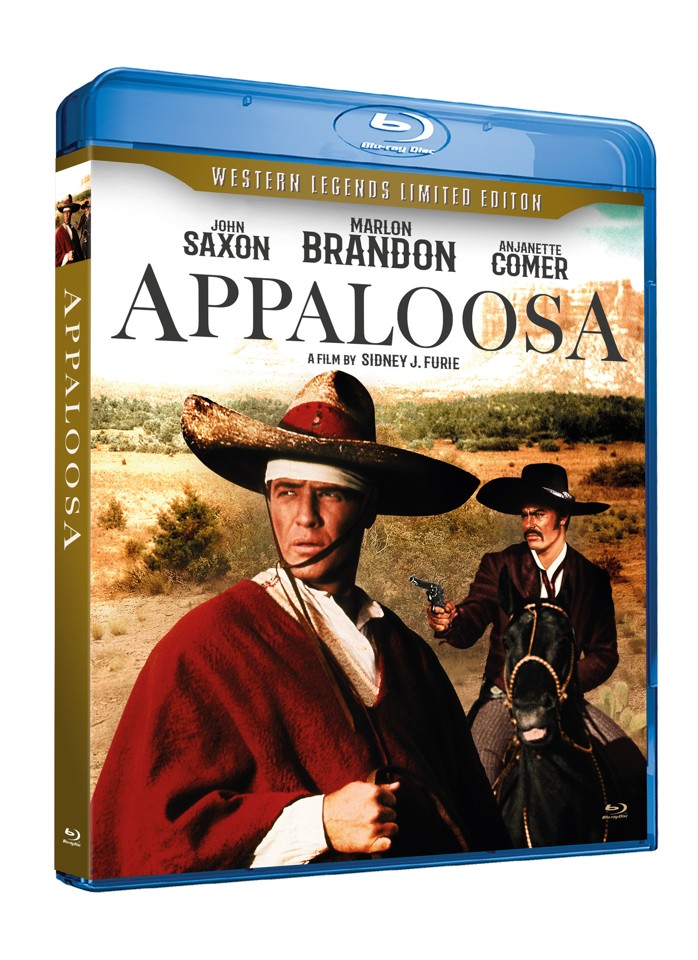 The Appaloosa