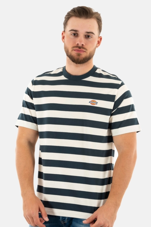 Tee shirt dickies rivergrove af01 air force blue
