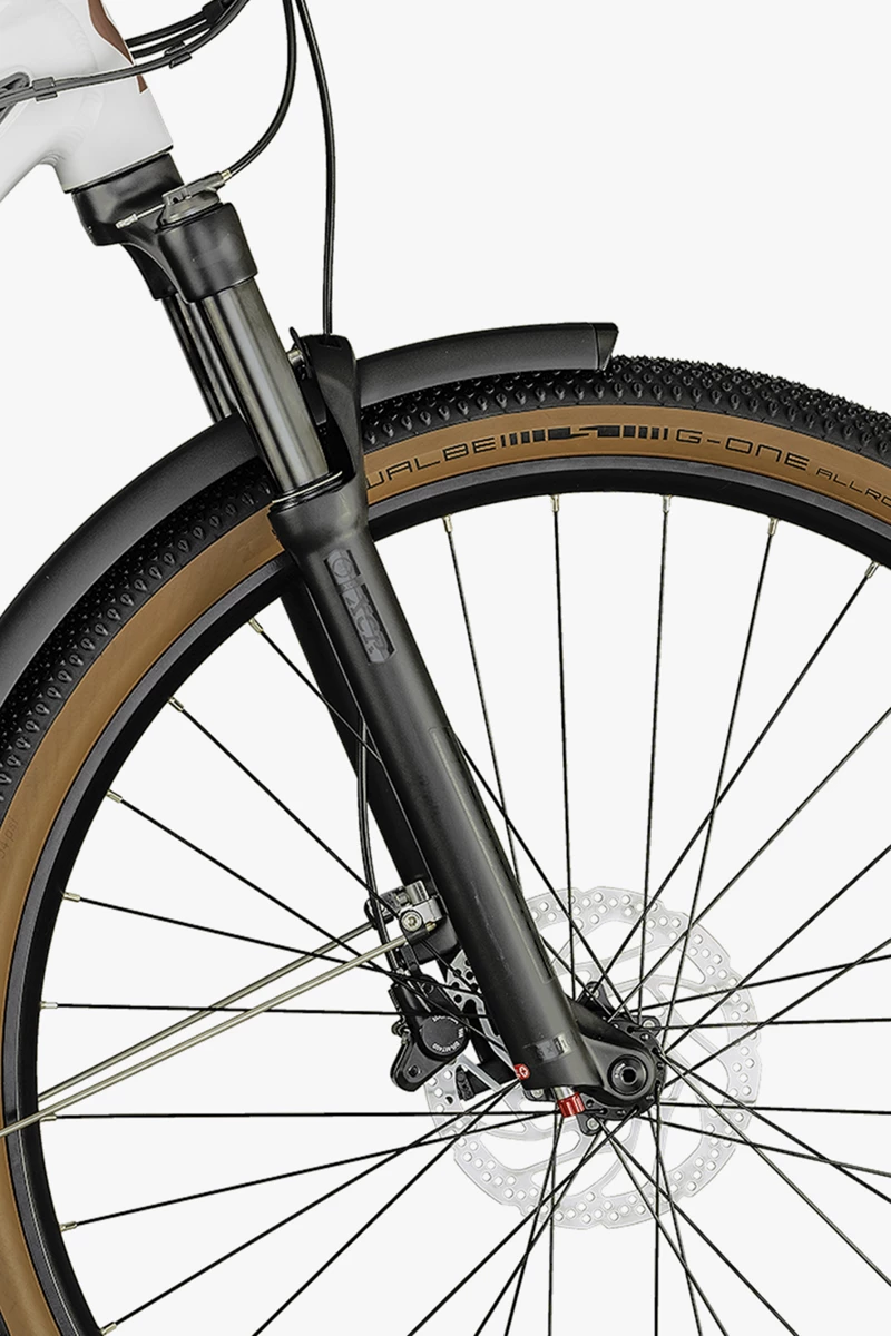 SCOTT Axis eRide 10 29 Damen E-Bike 2022