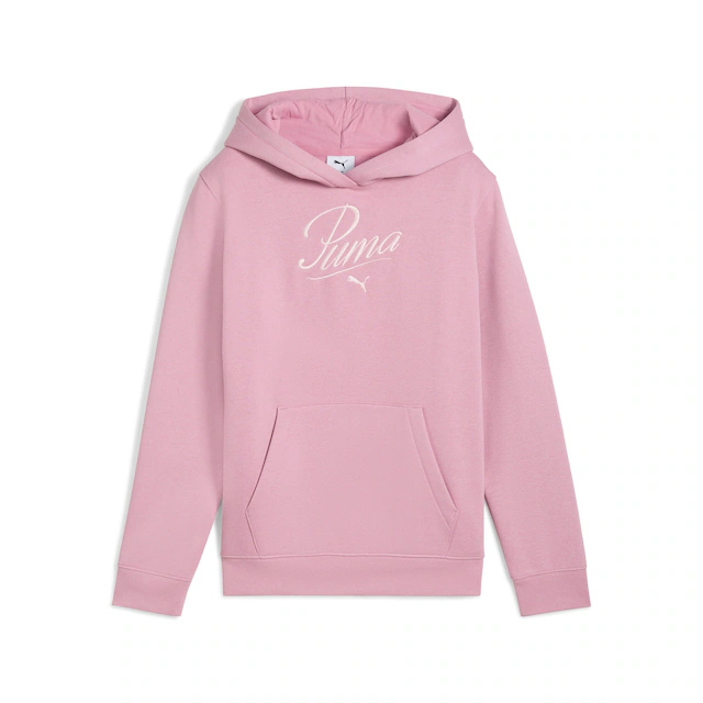 PUMA Kapuzensweatshirt »ESS SCRIPT HOODIE FL G«