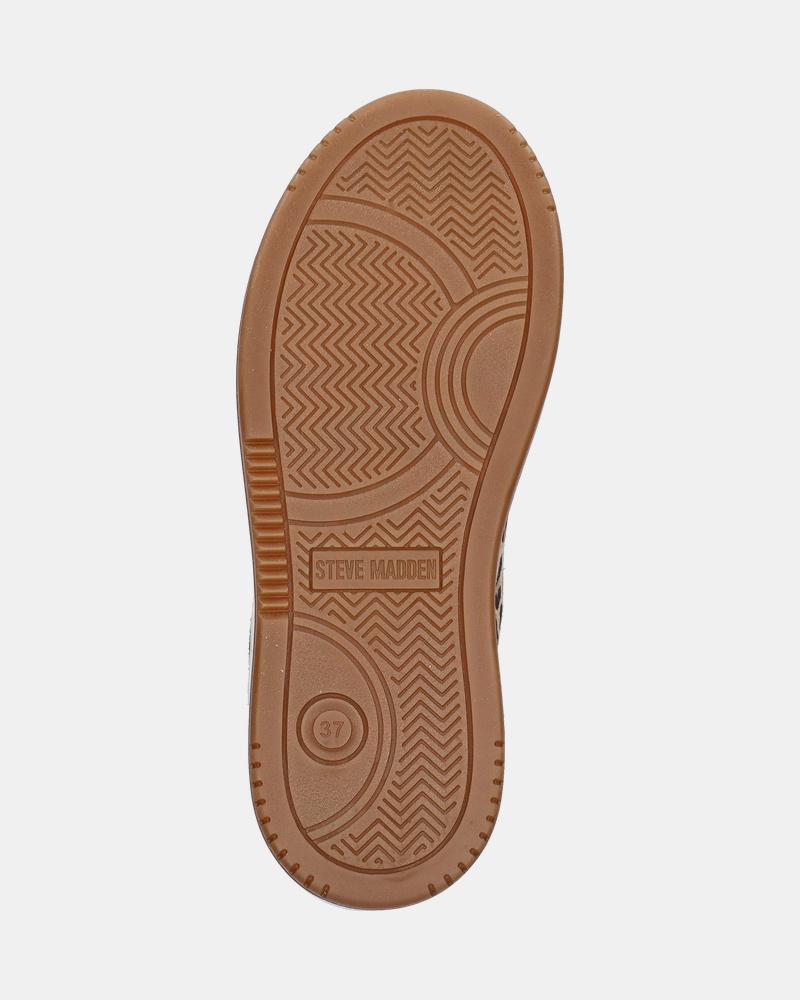 Steve Madden Alysha Lage sneakers  - bruin