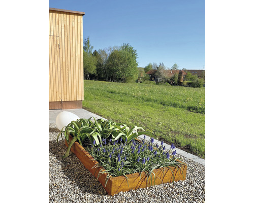 Plantenframe Palatino Carlotta metaal 100 x 40 x 25 cm cortenstaal