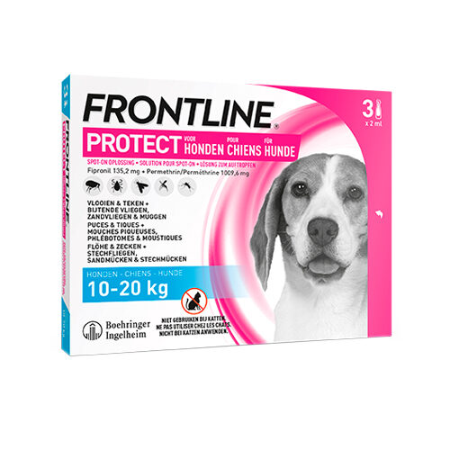 Frontline Protect Hond Spot On