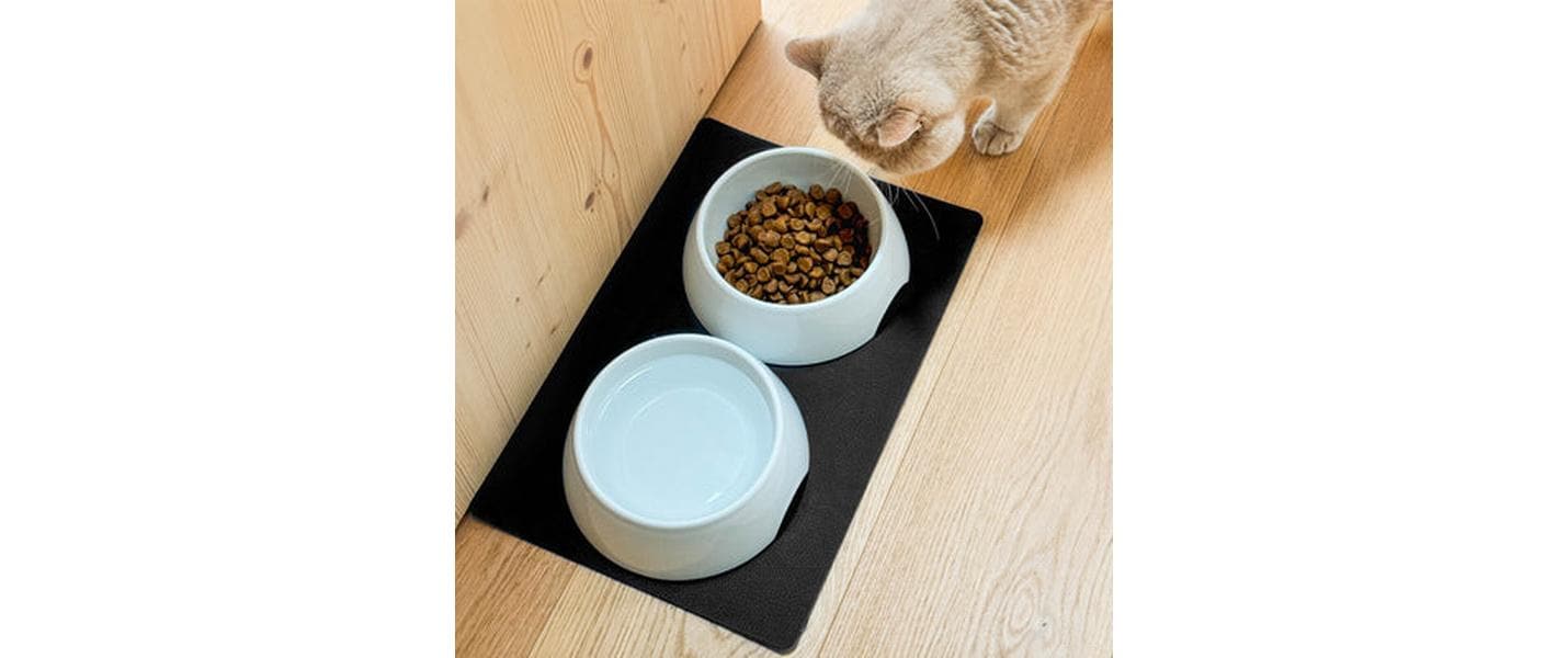 Porzellan-Futternapf-SetHunde Wasser- und Futternapf