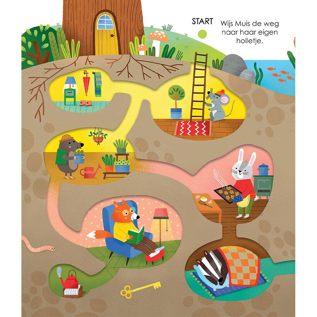 Uitgeverij usborne volg met je vinger doolhoven