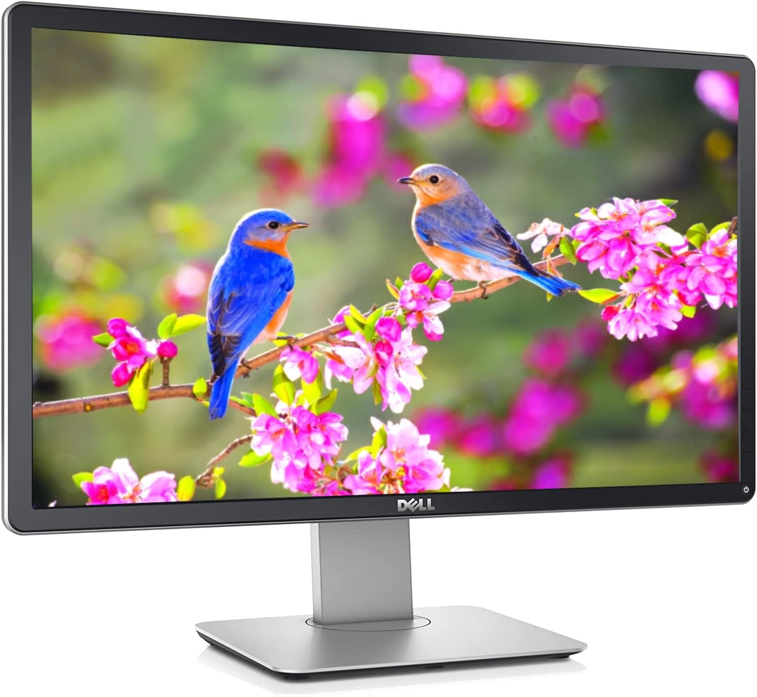 Dell P2314HT | 23