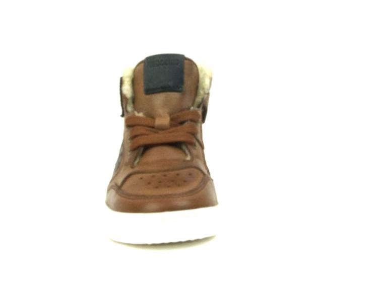 Pinocchio P2683 BRUIN