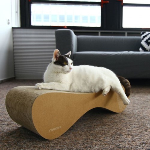 Arranhador para gatos Vigo, marrom