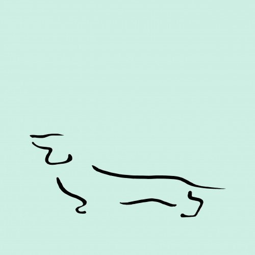 Ilustração de um Dachshund na cor menta, sem moldura.