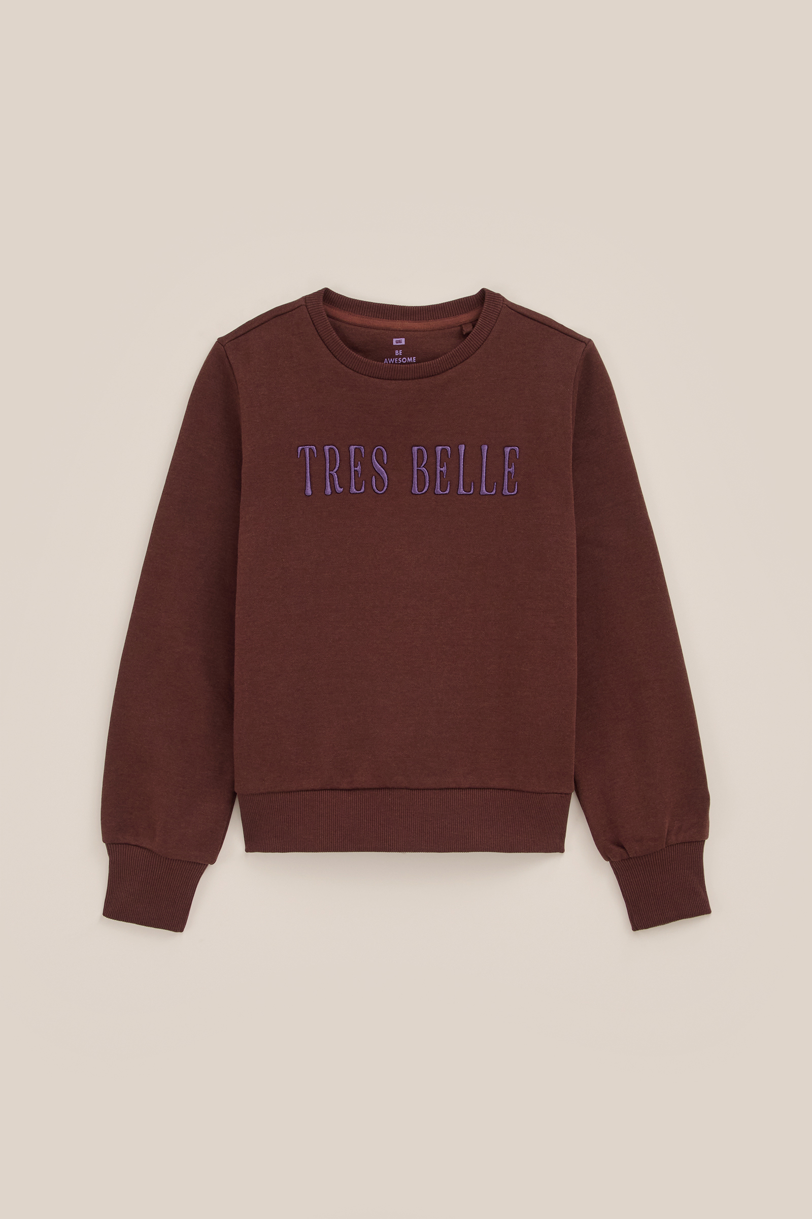 Meisjes sweater met embroidery WE Fashion Bruin