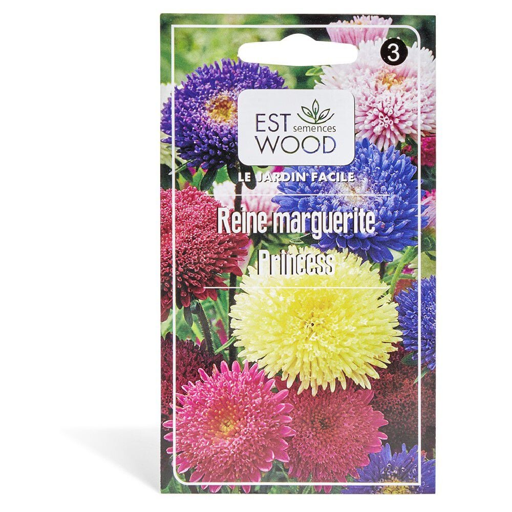 Semences d'Aster Princesse