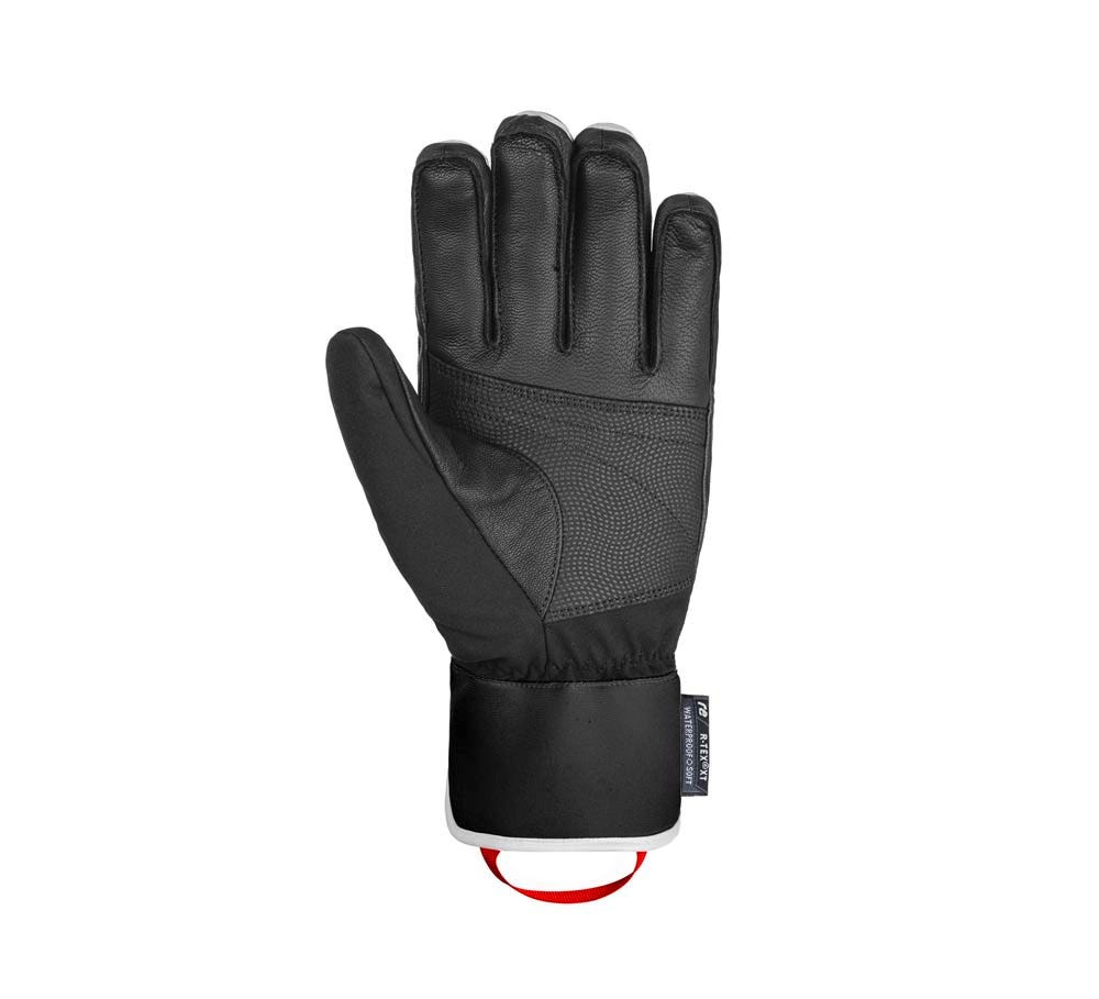 Reusch  Mastery