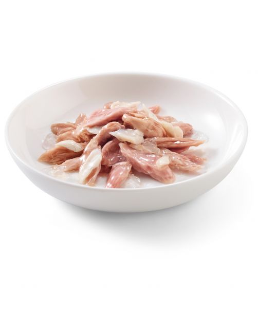Schesir Kat Mp Blik Gelei 6x50 g - Kattenvoer