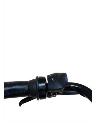 Produit reconditionné . Gazelle Arroyo Elite Ceinture C5 SHIMANO NEXUS 2022 . Vélo électrique . Gazelle . très bon état