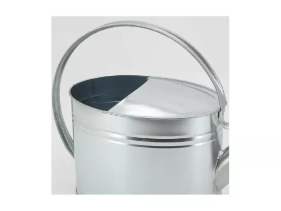 Arrosoir en métal galvanisé 10 L