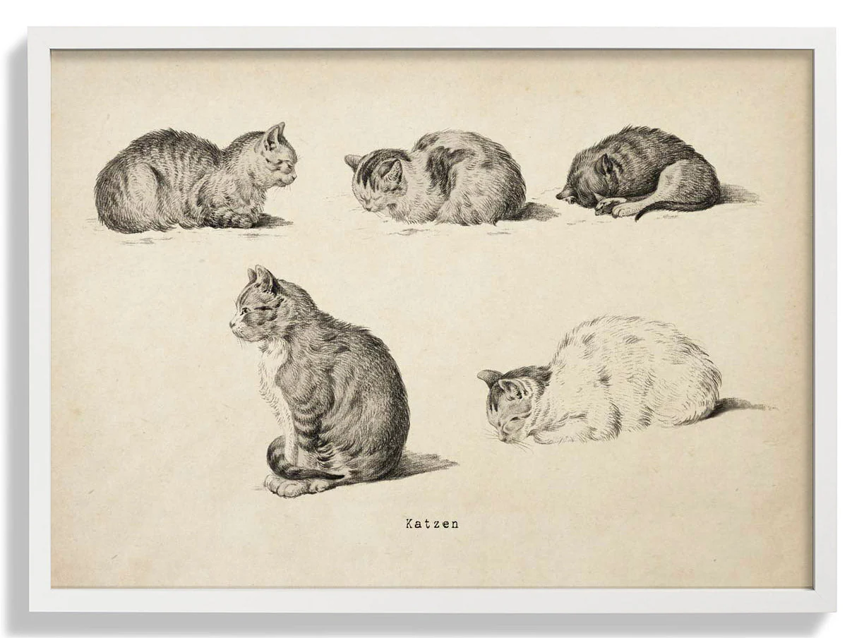 Antike Katzen