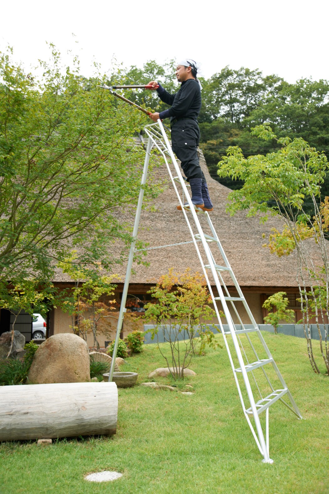 NIWAKI 3-Holm-Gartenleiter, 300 cm