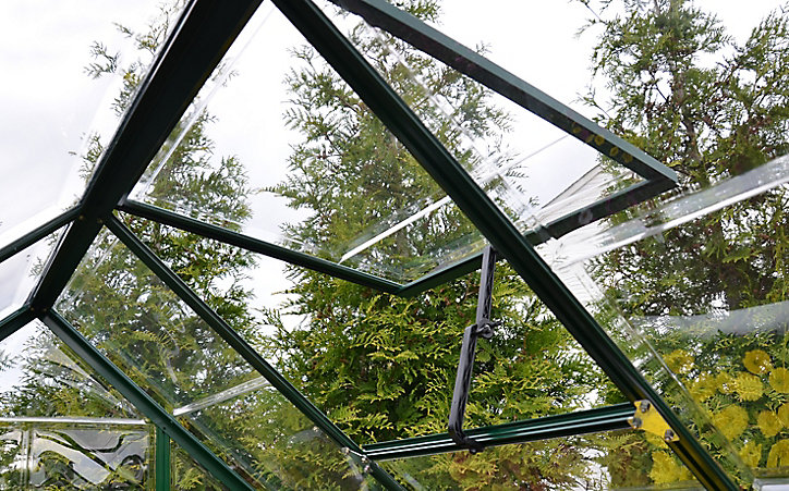 Serre en aluminium et polycarbonate Palram Canopia Harmony vert 6 x 10 m