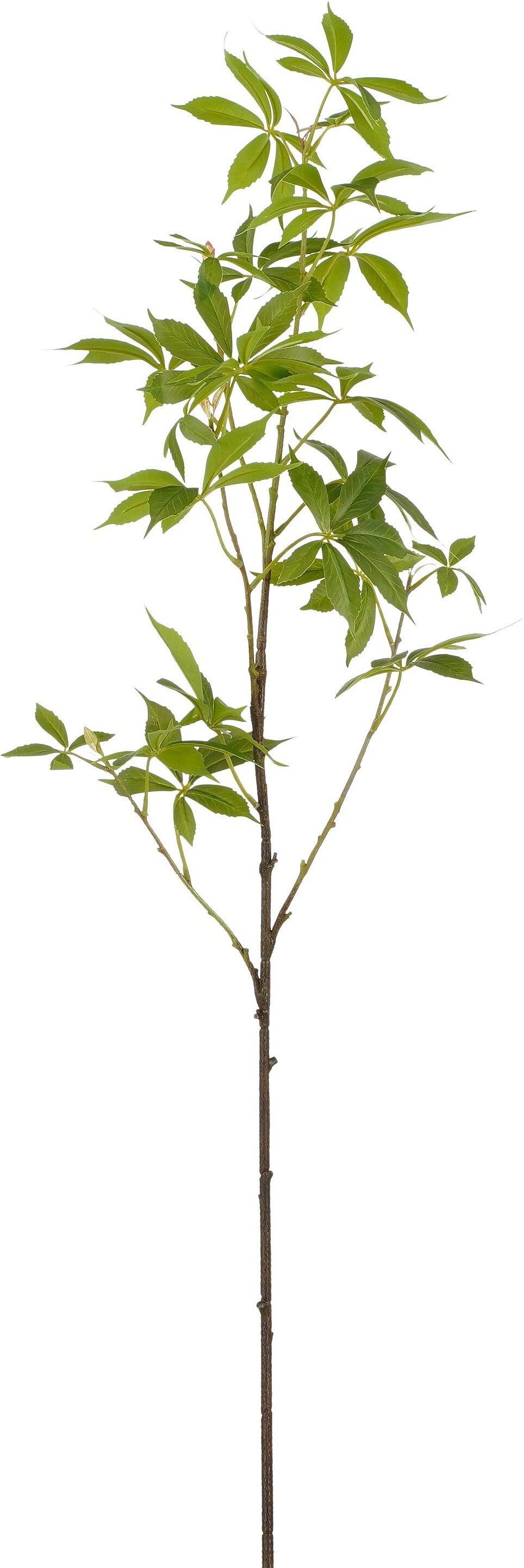 Mica Decorations kunsttak Cassave groen L 108 cm