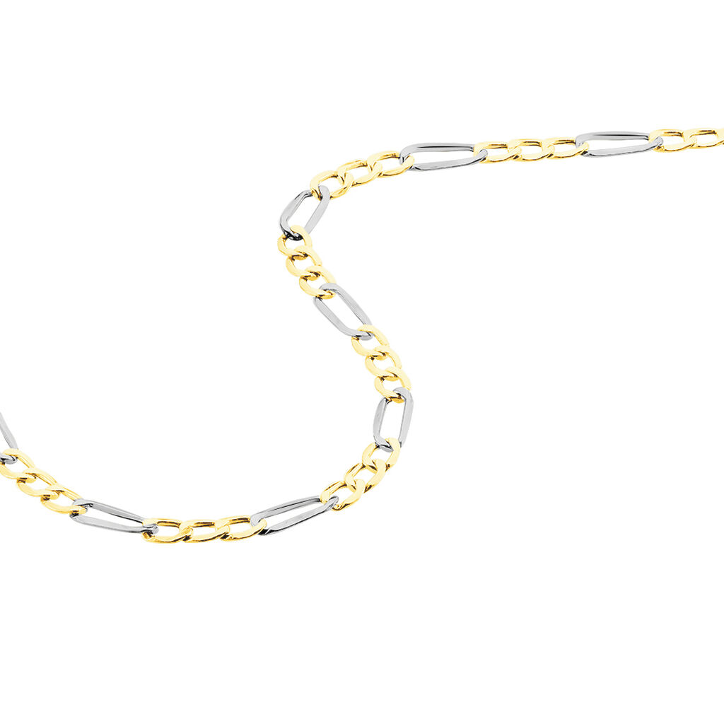 Chaîne Cameo Maille Alternee 1/3 Or Bicolore