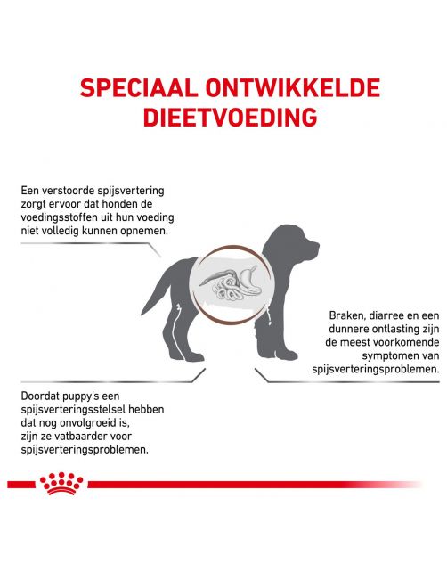 Royal Canin Veterinary Diet Gastro Intestinal Junior - Hondenvoer