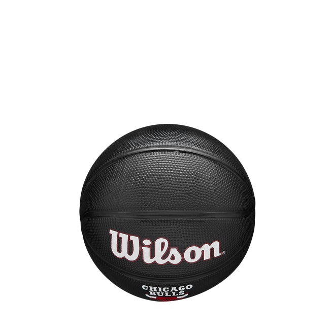 NBA Team Tribute Mini Basketball