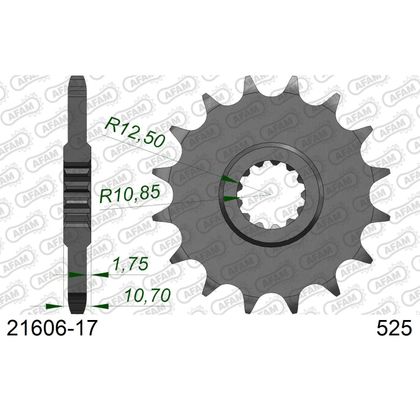 Kit chaine AFAM 525 Type Acier