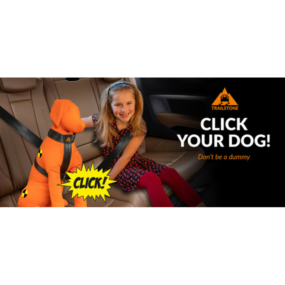 Trailstone Dog Seat Belt Small