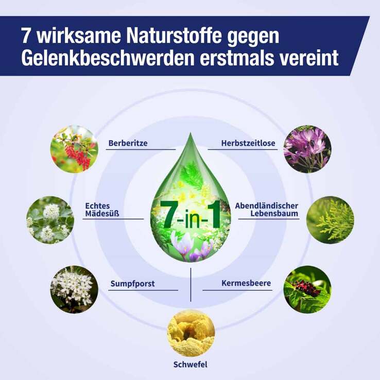Gelencium Tropfen, 30 ml