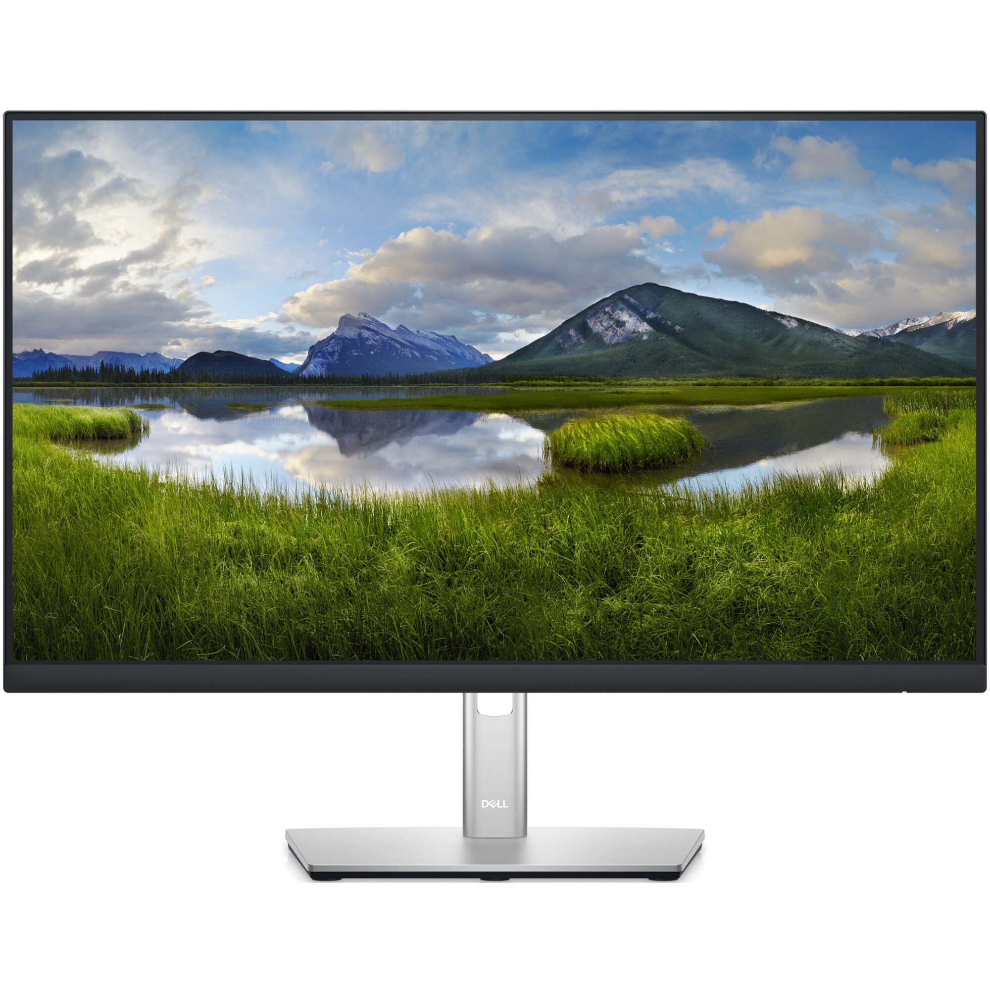 Dell LED-Monitor P2422HE