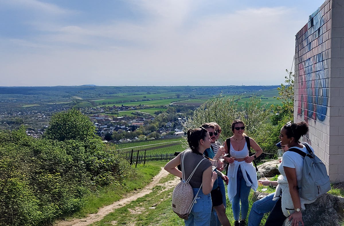Weinwanderung Rheinhessen