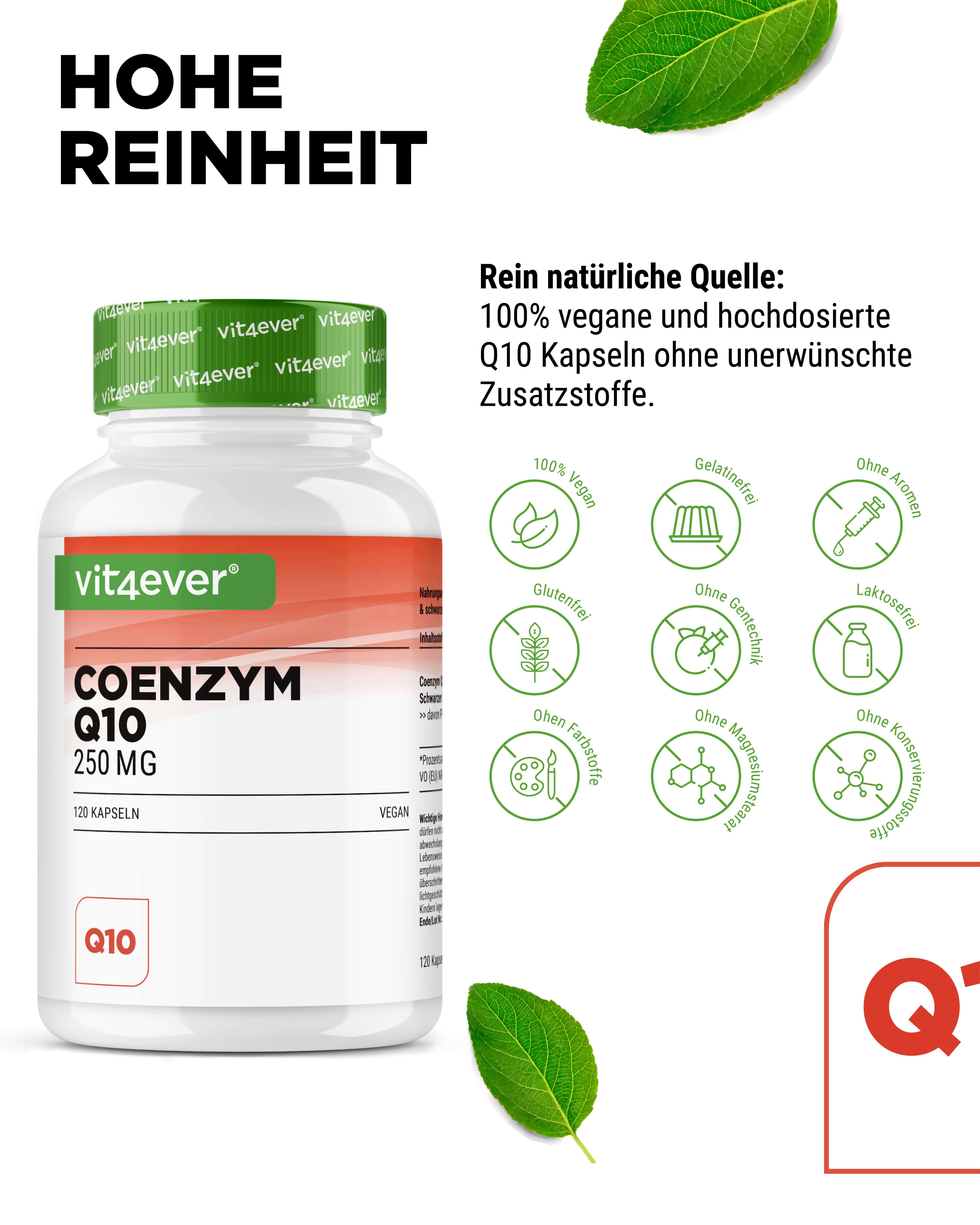 vit4ever Coenzym Q10