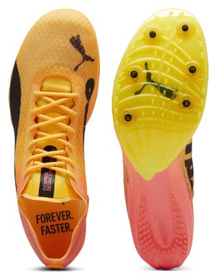 Chaussures Athlétisme Puma evoSPEED Distance Nitro Elite  4 Orange Rose Homme