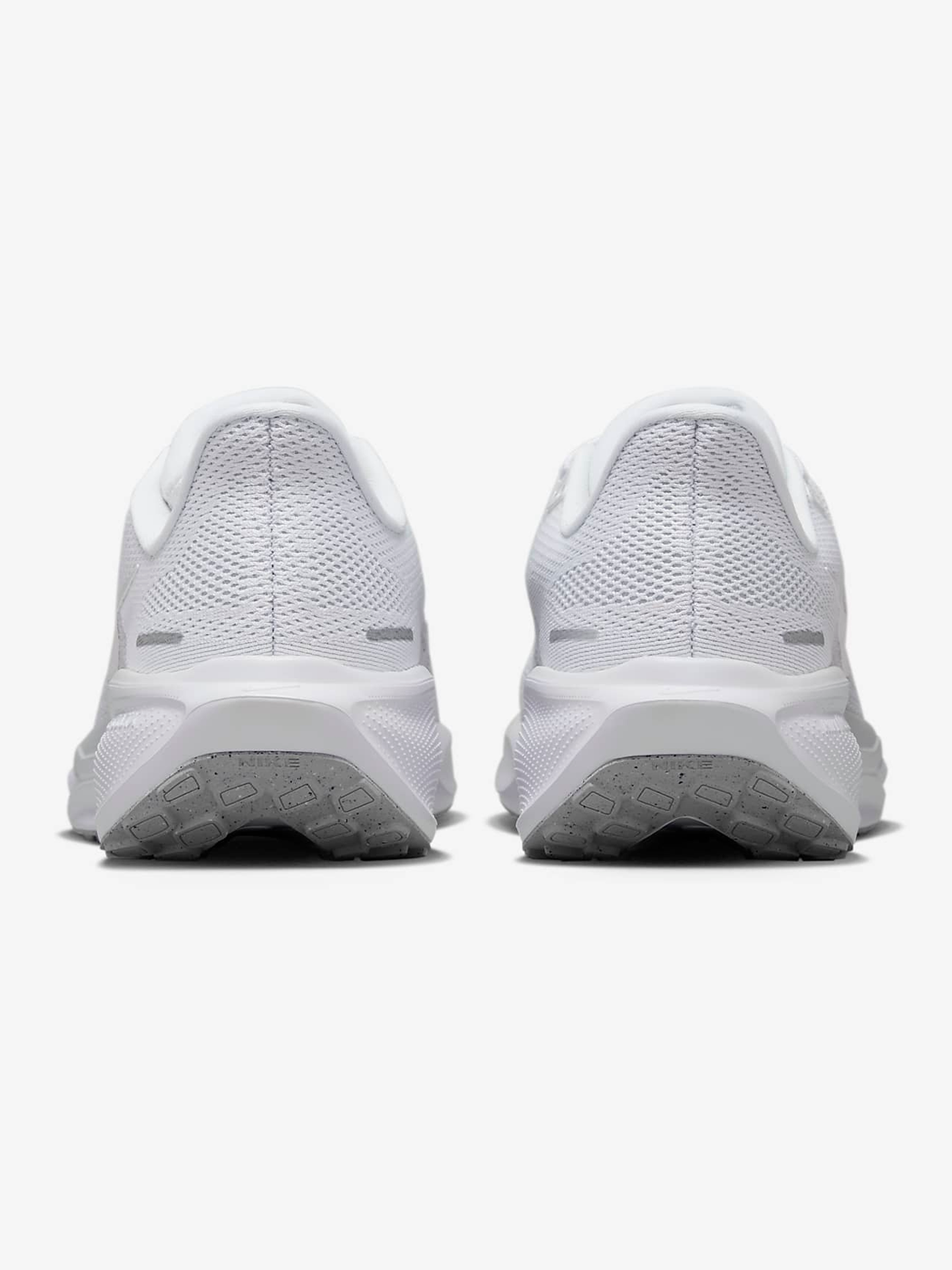 Pegasus 41