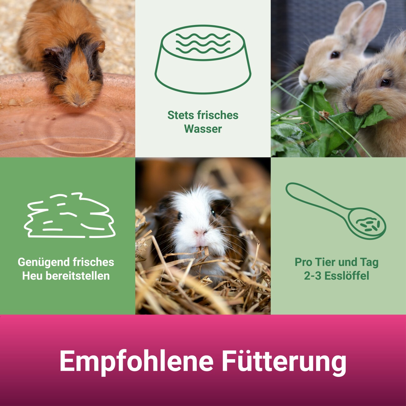 Panto ® NAGERFUTTER UNIVERSAL