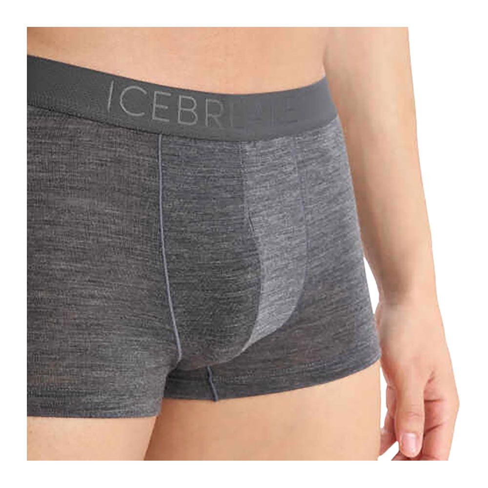 Icebreaker ANATOMICA COOL-LITE - Boxer Homme monsoon hthr