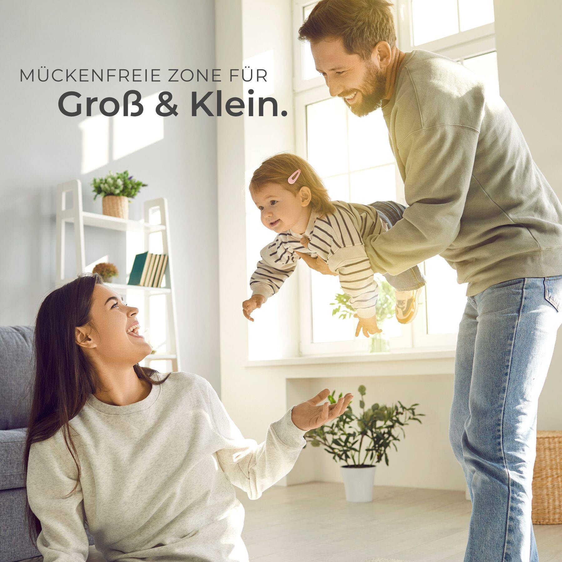 Insektenschutzrollo
