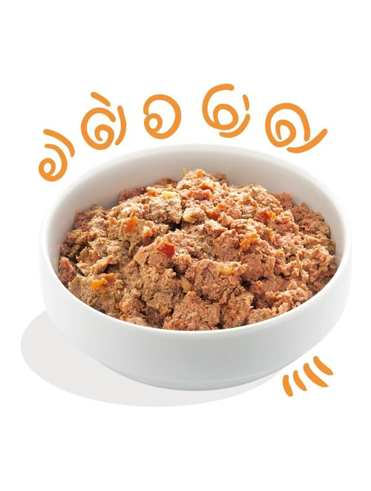 Edgard Cooper - BLAND 4 FOR 119 - Paté Kylling & Kalkun, Adult 300gr