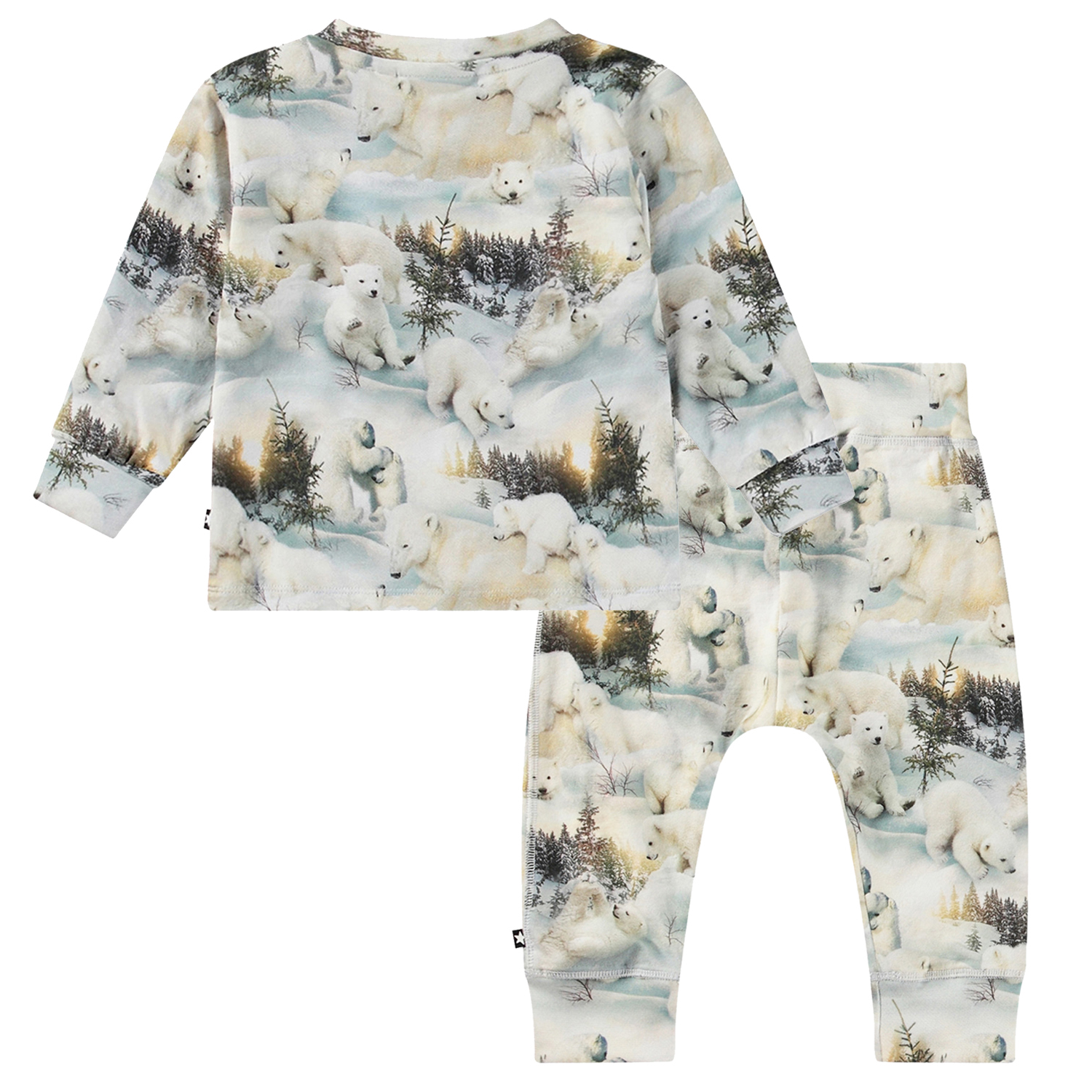 Eloy Set - Snowy Bears
